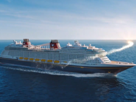 The Disney Wish at Sea