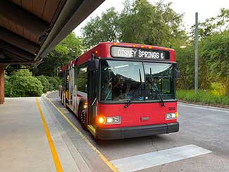 A Disney Bus pulling up to a resort Bus stop.