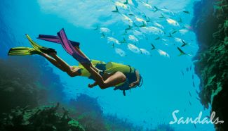 SCUBA DIVING