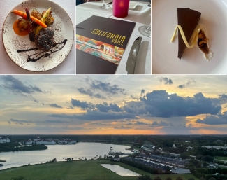 california grill meal and view